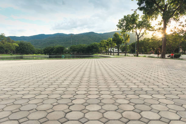 Best Local Driveway Pavers  in Paterson, NJ